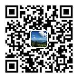 the qr code